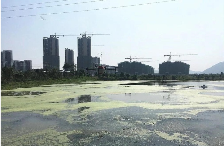 С���r�B(y��ng)ֳ��